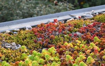 the cost of Markethill green roof installation