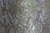 Markethill fibreglass roof work